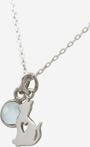 Gemshine Necklace in Silver