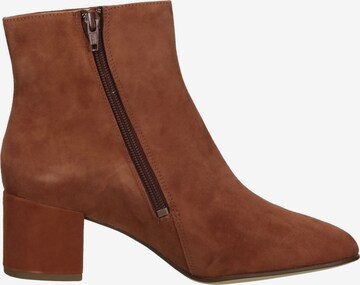 Högl Ankle Boots 'Fred' in Brown