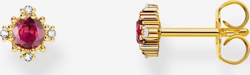 Thomas Sabo Earrings in Gold: front