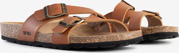 Bayton Mule 'Cleo' in Brown