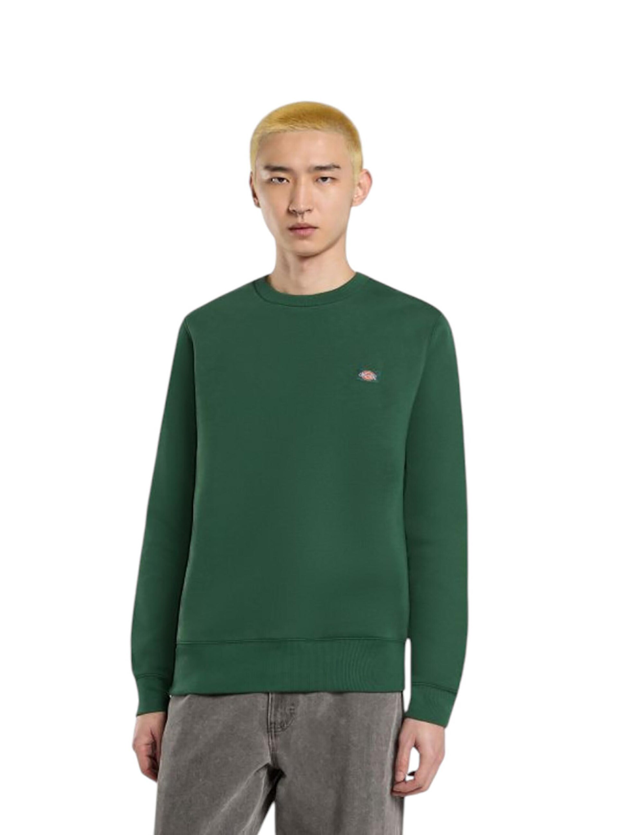 Sweat-shirt 'Oakport' DICKIES en vert : devant