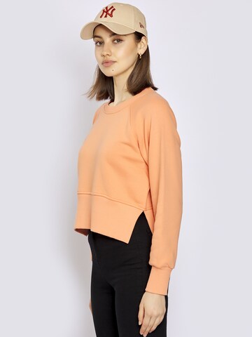 FRESHLIONS Sweatshirt in Orange