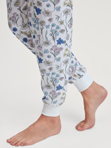CALIDA Pyjama 'Cotton Special'‌‌‌‌‌ in Blau