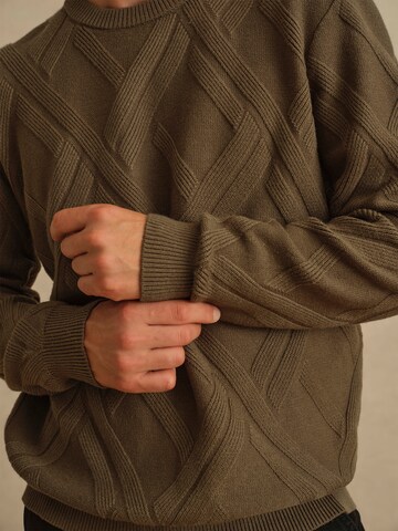 DAN FOX APPAREL Свитер 'Sascha' в Зеленый