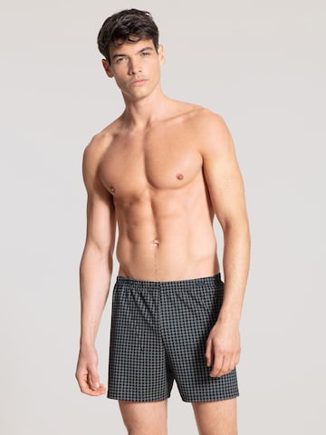 CALIDA Boxershorts in Blau