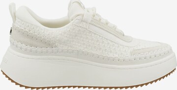 Baskets basses STEVE MADDEN en blanc