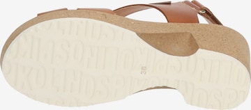 PIKOLINOS Strap Sandals in Brown