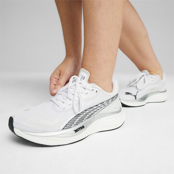 Chaussure de course 'Velocity' PUMA en blanc