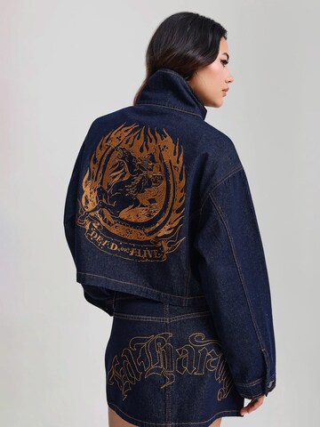 mėlyna Ed Hardy Demisezoninė striukė: galas
