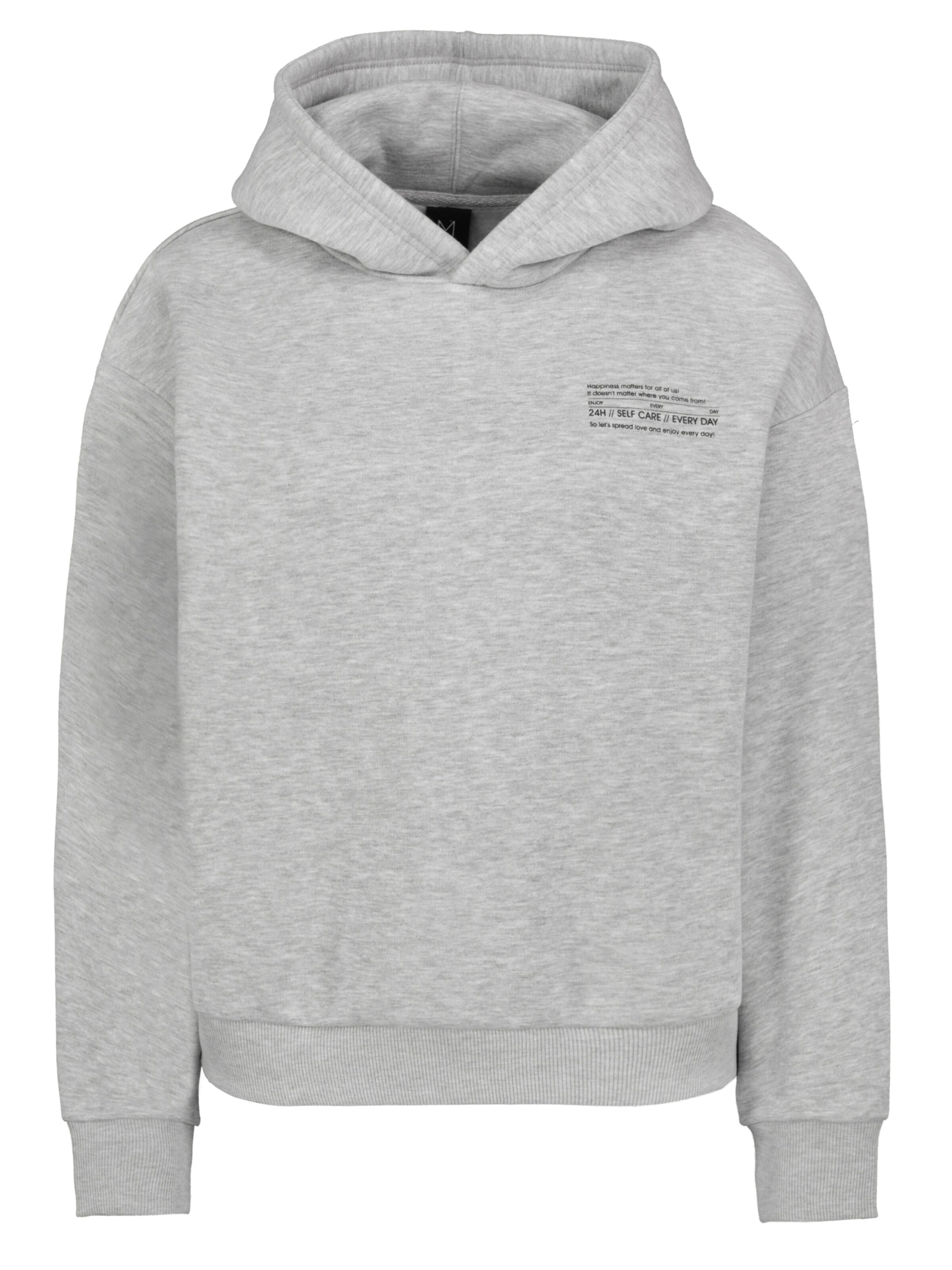 Sublevel Sweatshirt in Grey: front