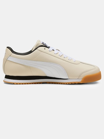 PUMA Sneaker 'Roma 24' in Beige