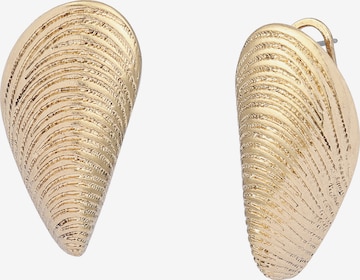 STEVE MADDEN Серьги в Золотой: спереди