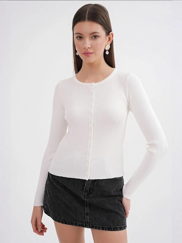 MixRay Knit Cardigan in White: front