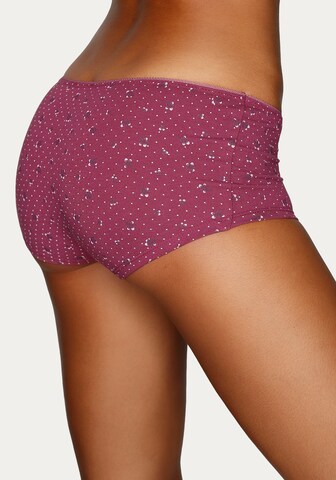 PETITE FLEUR Slip in Mischfarben