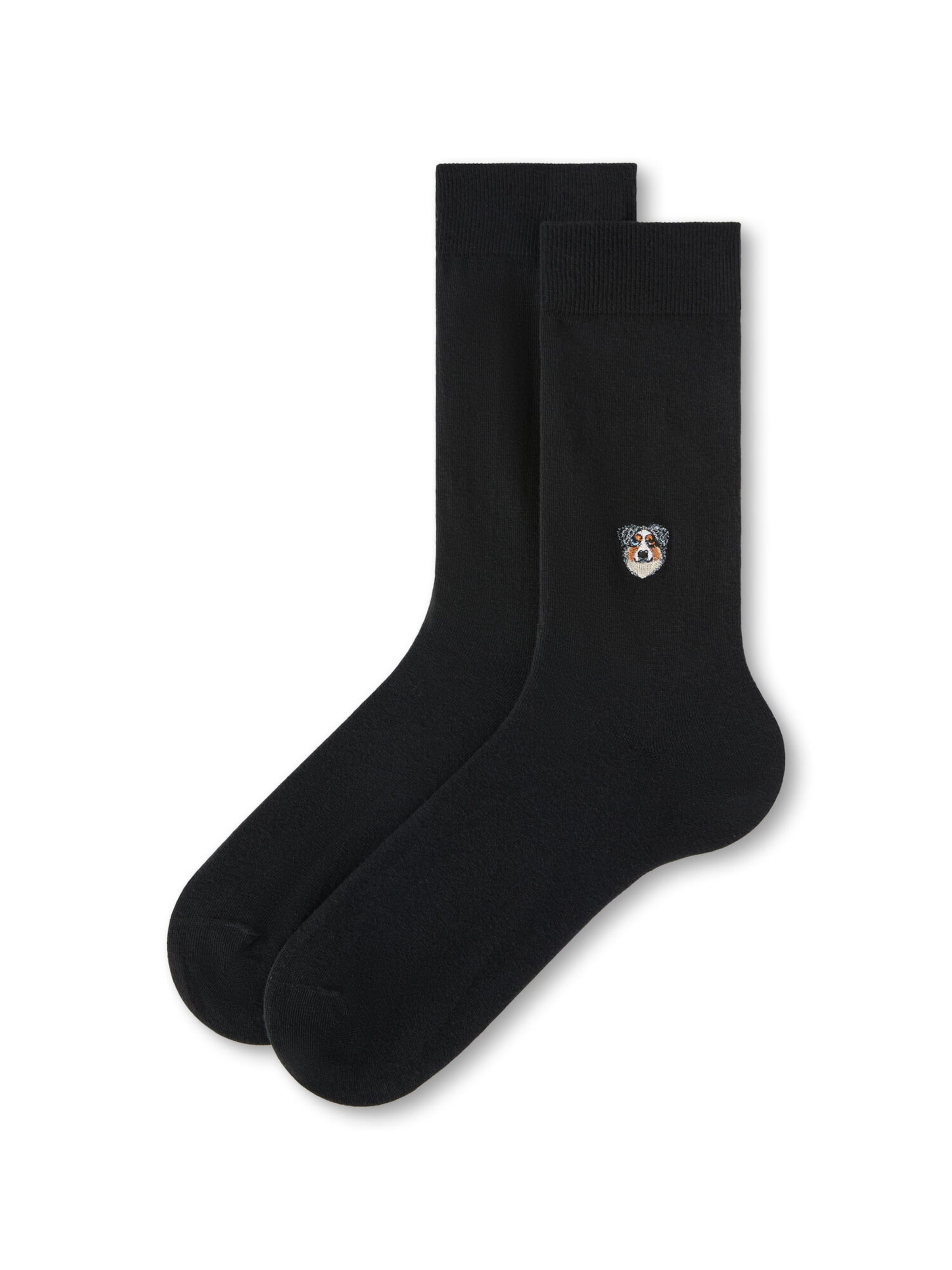 CALZEDONIA Socks in Black: front