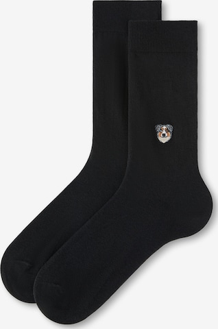 CALZEDONIA Socks in Black: front