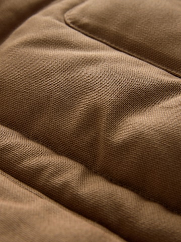 Next Winterjas in Bruin