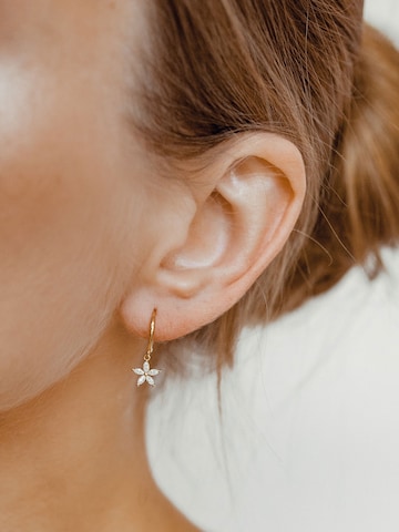 Hey Happiness Ohrringe 'Daisy' in Gold: Vorderseite
