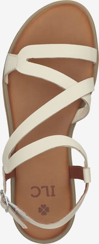 ILC Strap Sandals in Beige