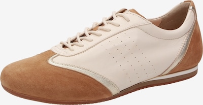 SIOUX Sneakers ' Siralea-700-H ' in Light beige / Brown, Item view