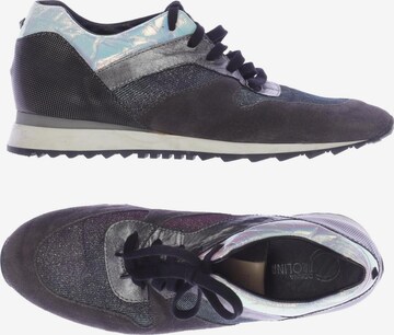 Donna Carolina Sneaker 40 in Grau: predná strana