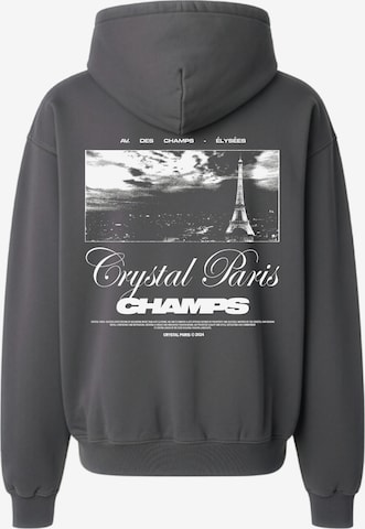 Crystal Paris Sweatshirt 'Laville' in Grey: front