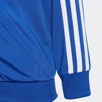 ADIDAS SPORTSWEAR Trainingspak 'Essentials' in Blauw