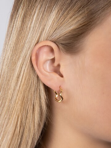 Nordahl Jewellery Earrings 'NICE52' in Gold: front