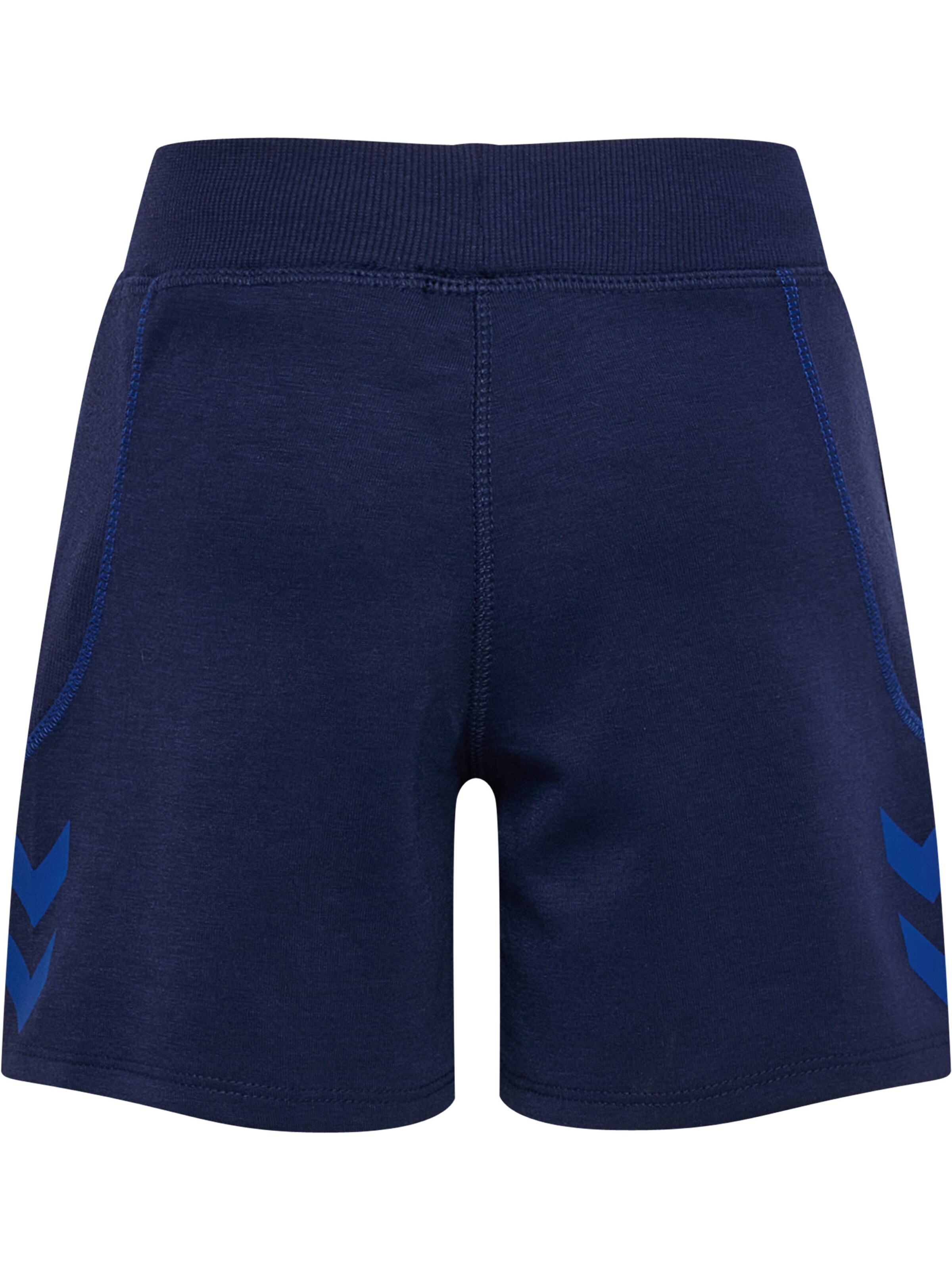 Hummel Regular Sports trousers in Blue