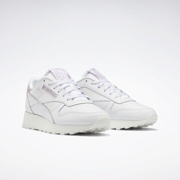 Baskets basses Reebok en blanc