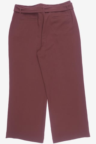 FFC Pants in XL in Pink