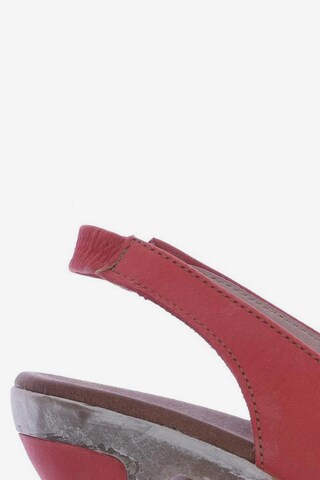 EL NATURALISTA Sandals & High-Heeled Sandals in 41 in Red