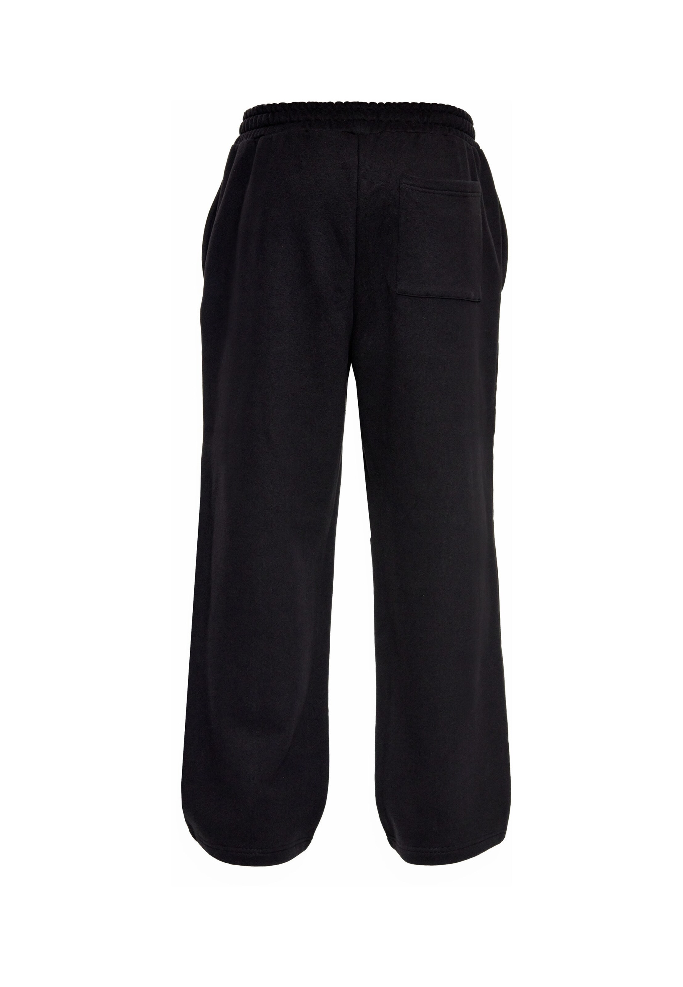 regular Pantaloni di Dropsize in nero