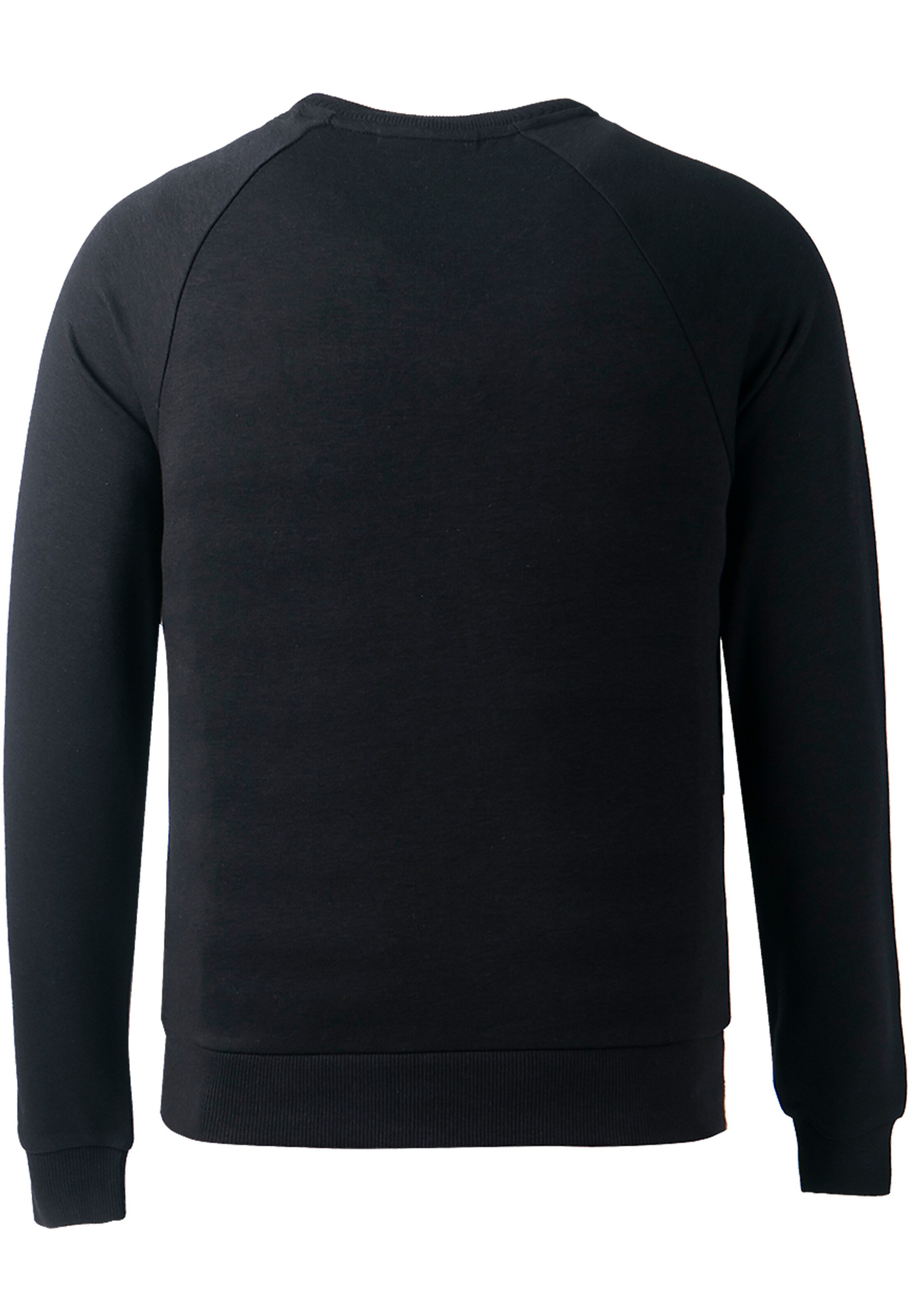 Athlecia Sportsweatshirt 'NIARY' in Schwarz