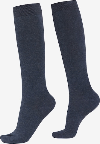 CALZEDONIA Knee High Socks in Blue: front