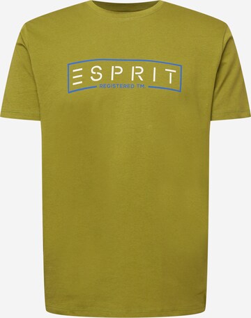 ESPRIT T-Shirt in Grün: predná strana