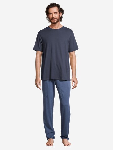 SCHIESSER Short Pajamas 'Night & Home' in Blue