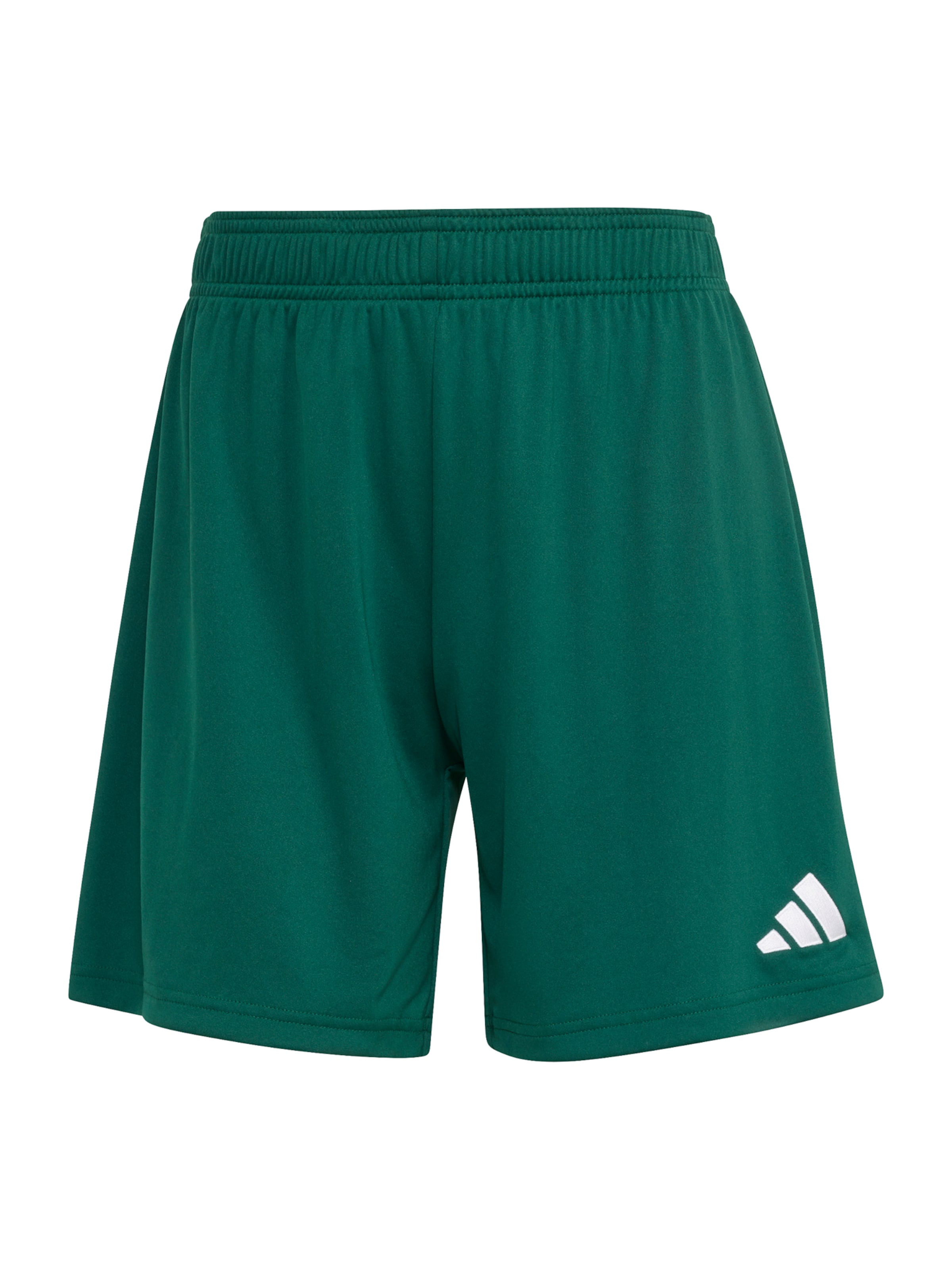 ADIDAS PERFORMANCE - Loosefit Pantalón deportivo 'ENT26' en verde: frente