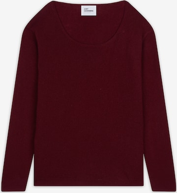 JUST CASHMERE Свитер 'Fiona' в Красный: спереди