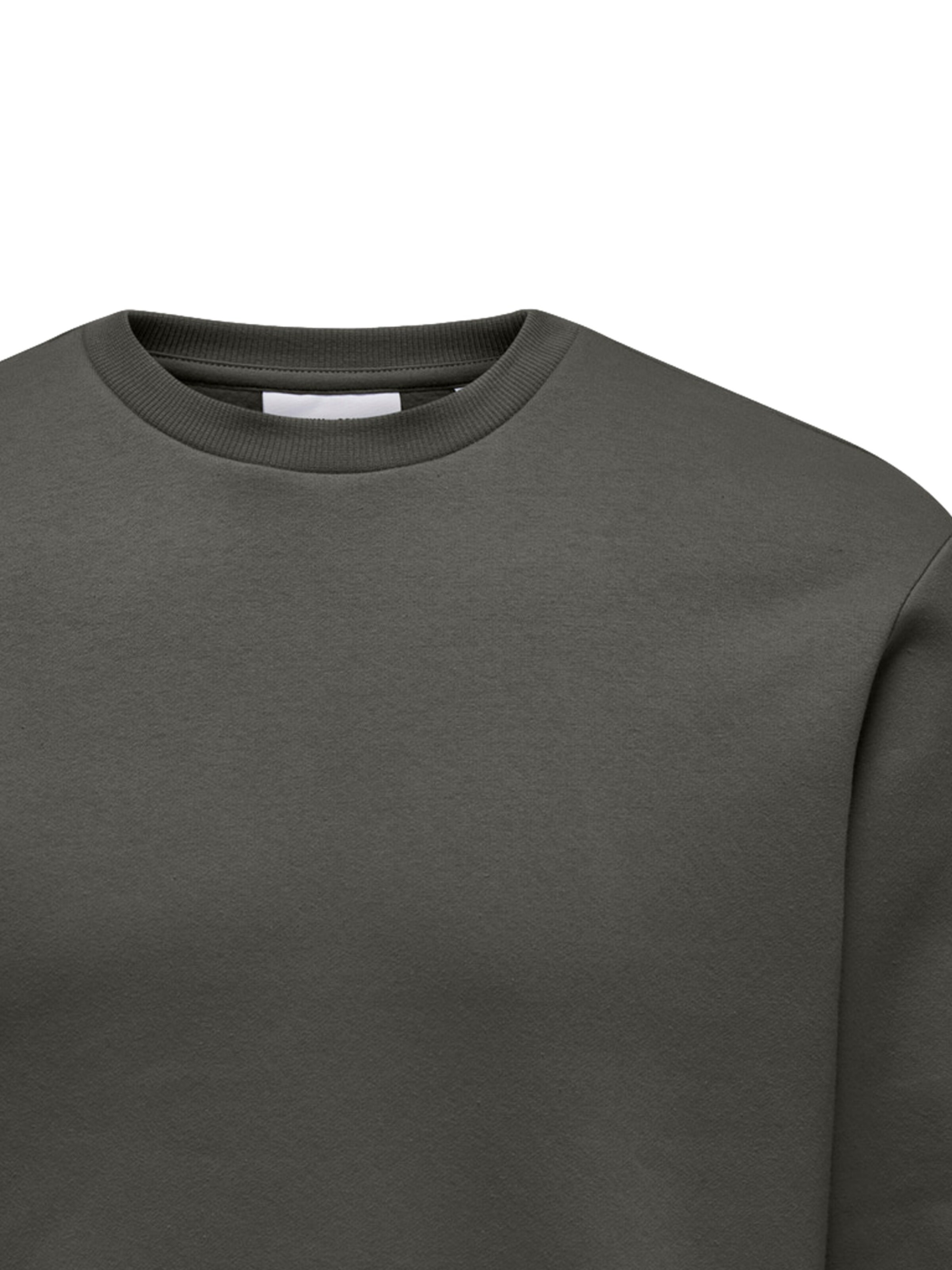 Only & Sons Regular Fit Sweatshirt 'ONSCERES' in Grün