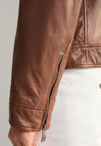 JOOP! Jeans Between-Season Jacket in Brown