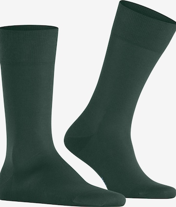FALKE Socks 'Cool 24/7' in Green: front