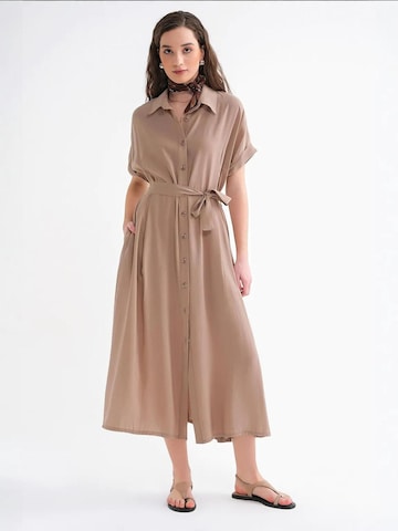 Robe MixRay en marron : devant