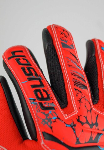 REUSCH Sporthandschuhe 'Attrakt Grip Evolution' in Rot