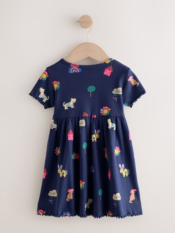 Next Kleid in Blau