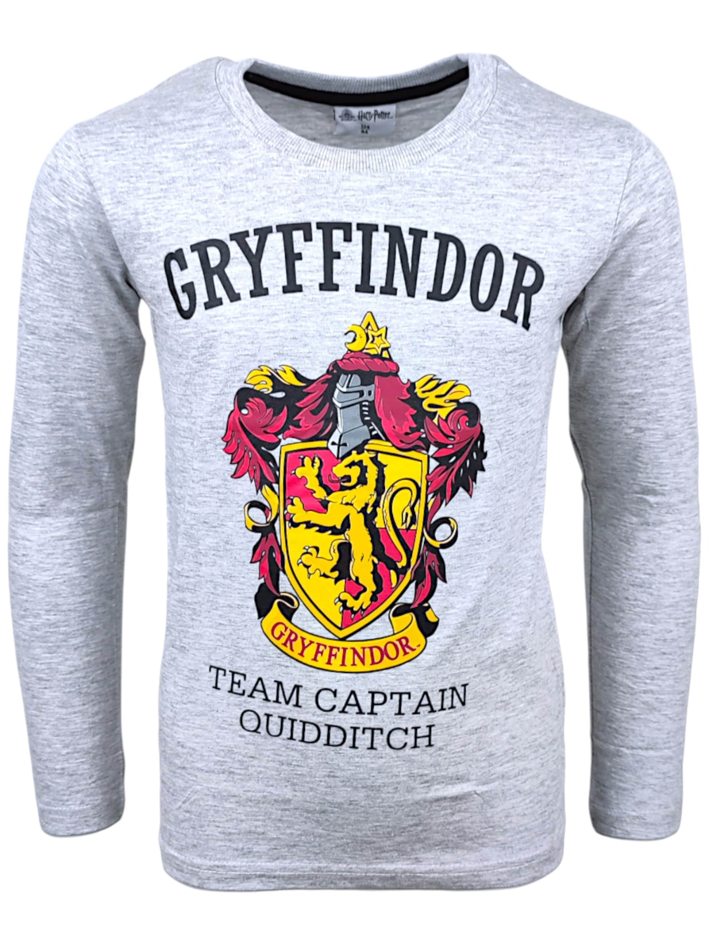 Harry Potter Shirt 'Harry Potter Langarmshirt Gryffindor' in Grey: front