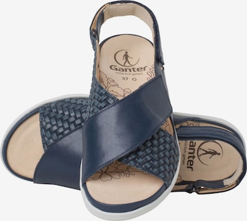 Ganter Sandalen met riem in Blauw