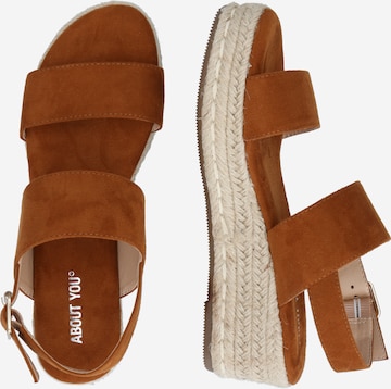 ABOUT YOU Sandals 'Lynn' in Brown