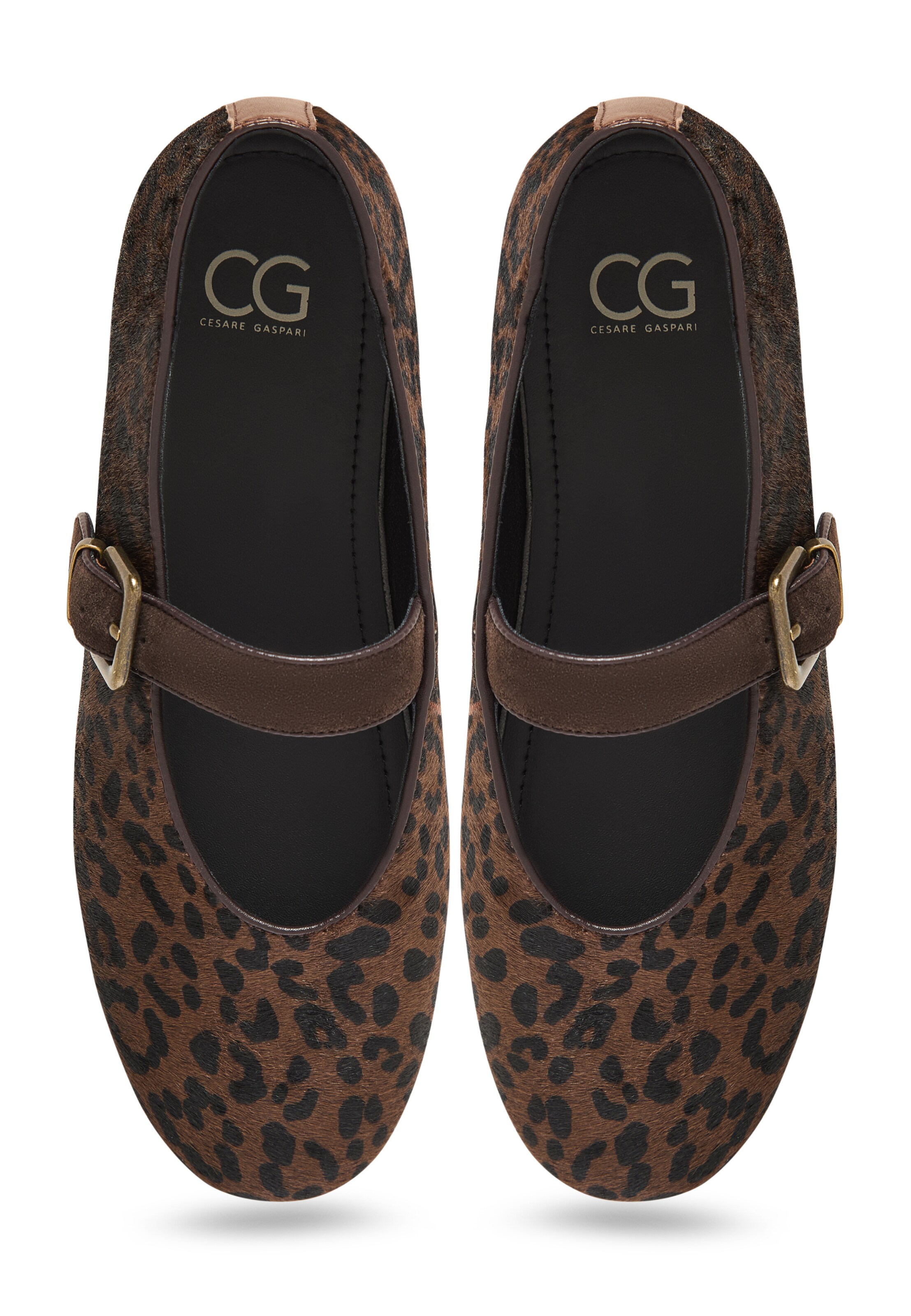 CESARE GASPARI Strap ballerina in Brown