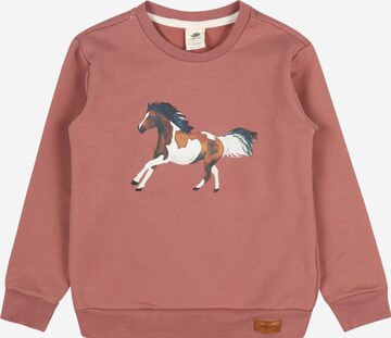 Walkiddy Sweatshirt in Brown: front